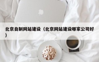 西宁北京自制网站建设（北京网站建设哪家公司好）