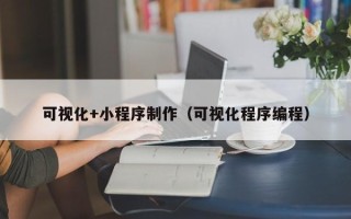 西宁可视化+小程序制作（可视化程序编程）